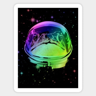 Space Frog Sticker